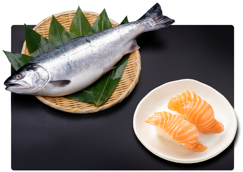 水産業が盛ん！日本のお寿司業界に革命をもたらす