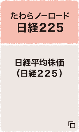 たわらノーロード 日経225 日経平均株価（日経２２５） 追加型投信/国内/株式 （インデックス型）