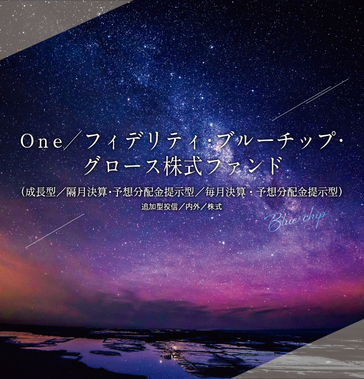 One/フィデリティ・ブルーチップ・グロース株式ファンド(成長型/隔月決算・予想分配金提示型/毎月決算・予想分配金提示型)