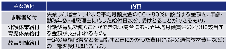 (3) 雇用保険