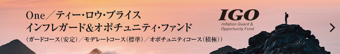 Ｏｎｅ／ティー・ロウ・プライス　インフレガード＆オポチュニティ・ファンド