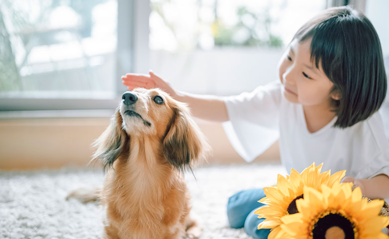 ペットの費用あれこれ～飼いたい方が知っておきたいお金のこと～