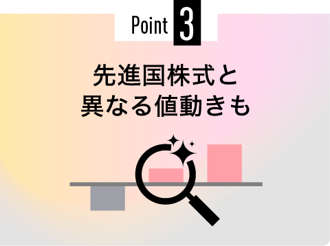 Point3 先進国株式と異なる値動きも