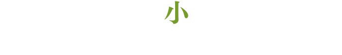 企業価値成長小型株ファンド　追加型投信／国内／株式