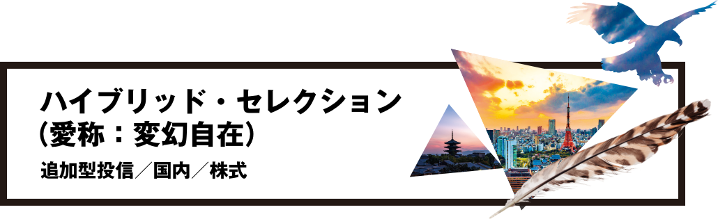 ハイブリッド・セレクション（変幻自在）追加型投信／国内／株式