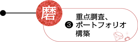 3.重点調査、ポートフォリオ構築