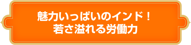 魅力いっぱいのインド！若さ溢れる労働力