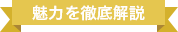 魅力を徹底解説