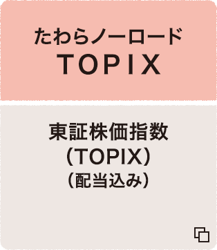 たわらノーロード ＴＯＰＩＸ 東証株価指数（TOPIX）（配当込み） 追加型投信／国内／株式 （インデックス型）