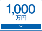 1,000万円