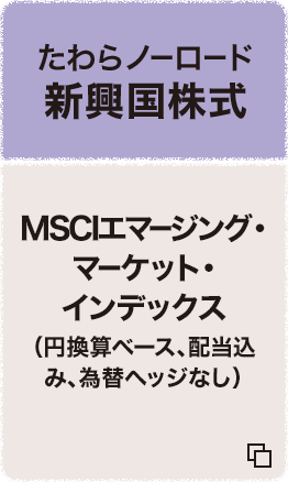 たわらノーロード 新興国株式 MSCIエマージング・マーケット・インデックス（円換算ベース、配当込み、為替ヘッジなし） 追加型投信/海外/株式（インデックス型）