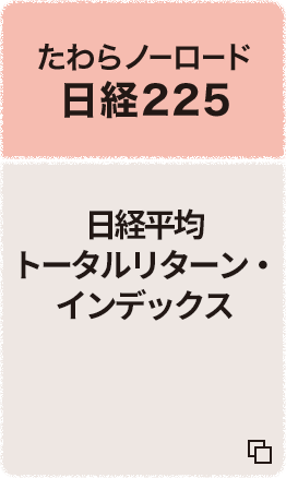 たわらノーロード 日経225 日経平均株価（日経２２５） 追加型投信/国内/株式 （インデックス型）